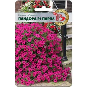 Петуния Пандора F1 Парпл каскадная 5 шт Биотехника