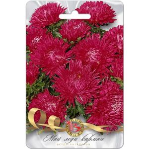 Астра Май Леди Кармин 30шт Биотехника