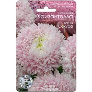 Астра Хризантелла Сакура 30шт Биотехника