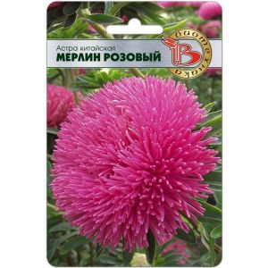 Астра Мерлин Розовый 50шт Биотехника