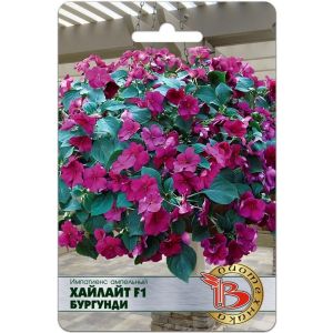 Импатиенс Хайлайт F1 Бургунди ампельный 10шт Биотехника. Бальзамин