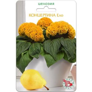 Целозия Концертина Ело горшечная 8шт Биотехника