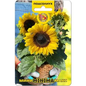 Подсолнух  Мини-Макс Minima 5шт Биотехника
