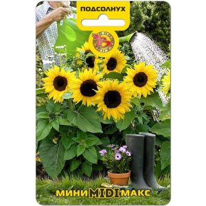 Подсолнух  Мини-Макс Midi 5шт Биотехника