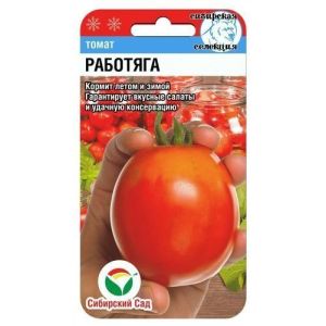 Томат Работяга 20шт Сиб Сад
