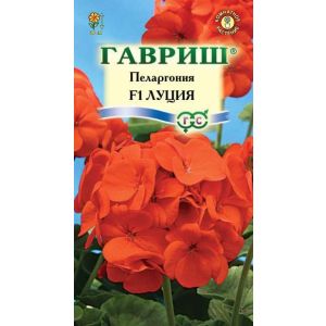 Пеларгония Луция F1 зональная 4шт Гавриш