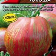 Томат Богатырь Илюша 20шт Аэлита