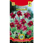 Прострел Красный 10шт Агроника