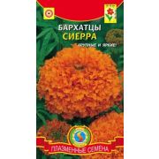 Бархатцы Сиерра 45шт Агроника