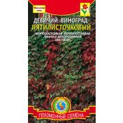 Девичий Виноград пятилисточковый 4шт Агроника