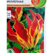 Глориоза Великолепная 6шт НК