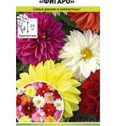 Георгина Фигаро 0,2г НК