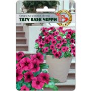 Катарантус Тату  Блэк Черри 8шт Биотехника