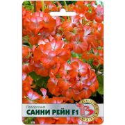 Пеларгония Санни Рейн 5шт Биотехника