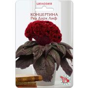 Целозия Концертина Ред Дарк Лиф горшечная 8шт Биотехника