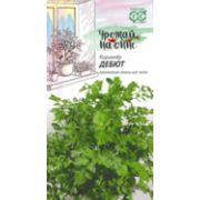 Кориандр Дебют На окне 2г Гавриш