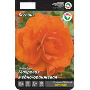 Бегония Махровая Медно-оранжевая 1шт Сиб Сад