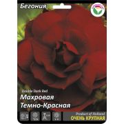 Бегония Махровая Тёмно-красная 1шт Сиб Сад