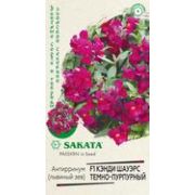 Львиный зев Кэнди Шауэрс тёмно-пурпурный F1 Антирриум 3шт Гавриш