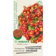 Львиный зев Кэнди Шауэрс Оранжевый 3шт Гавриш Антирринум