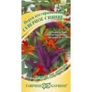 Перец острый Северное Сияние кустарниковый 5шт Гавриш