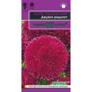 Астра Джувел Родолит 0,05г, игольчато-коготковая Гавриш