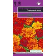 Бархатцы откл. Огненный шар (Тагетес) хамелеон! 5шт Гавриш