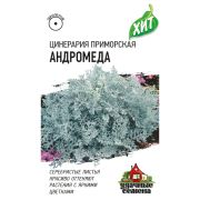 Цинерария Андромеда приморская 0,05г ХИТ Гавриш