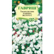 Тысячелистник Жемчуг белый 0,05г Гавриш