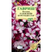 Петуния Изи Вейв Бургунди Стар F1 (Минитуния) суперкаскад 4шт Гавриш