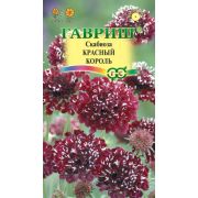 Скабиоза Красный король 7шт Гавриш