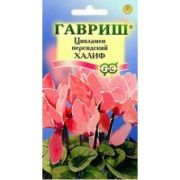 Цикламен Халиф персидский 3шт Гавриш