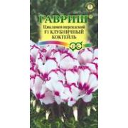 Цикламен Клубничный Коктейль F1 3шт Гавриш. АРОМАТНЫЙ