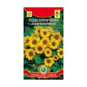 Подсолнечник Тополино карликовый 8шт Агроника