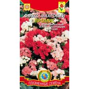 Флокс Промис махровый смесь 9 шт Агроника