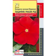 Катарантус Пацифик Риали Ред (Барвинок) 6шт Агроника