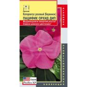 Катарантус Пацифик Орхид Дип (Барвинок) 8шт Агроника
