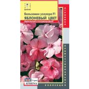 Бальзамин Яблоневый цвет Уоллера F1 (серия Athena) 5шт Агрроника