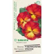 Виола Великолепие красное 5шт Гавриш
