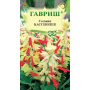 Сальвия Кассиопея карликовая  4шт Гавриш