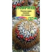 Маммилярия Бусинка 2шт Гавриш