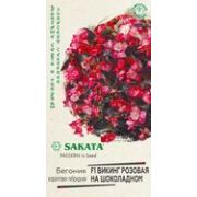 Бегония Викинг Розовая на Шоколадном кораллово-гибридная 4шт Гавриш
