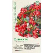 Бегония Викинг Коралловая бронзовом кораллово-гибридная 4шт (SAKATA) Гавриш