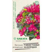 Бегония Викинг розовая на изумрудном вечноцветущая 4шт (SAKATA) Гавриш