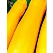 Кабачок Золотинка 2г НК