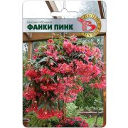 Бегония Фанки Пинк F1 5шт Биотехника