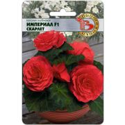 Бегония Империал Скарлет F1 10шт Биотехника