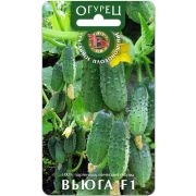 Огурец Вьюга F1 8шт Биотехника