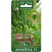 Огурец Домосед F1 6шт Биотехника