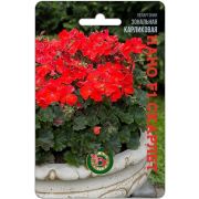 Пеларгония Нано F1 Скарлет карликовая 5шт Биотехника